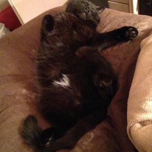 Meet your Posher, Michaela